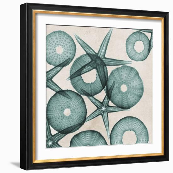 Under the Sea 3-Albert Koetsier-Framed Art Print