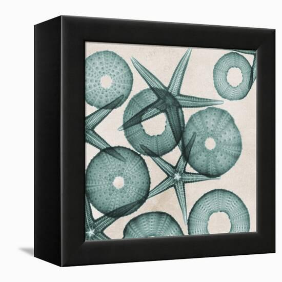 Under the Sea 3-Albert Koetsier-Framed Stretched Canvas