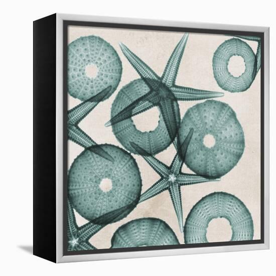 Under the Sea 3-Albert Koetsier-Framed Stretched Canvas