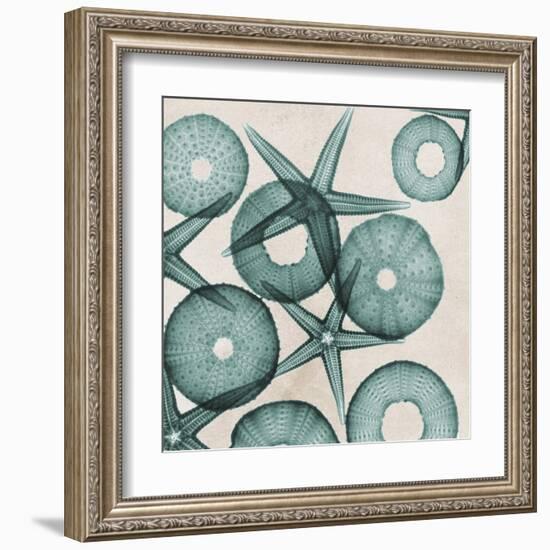 Under the Sea 3-Albert Koetsier-Framed Art Print