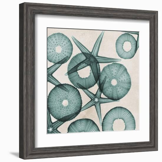 Under the Sea 3-Albert Koetsier-Framed Art Print