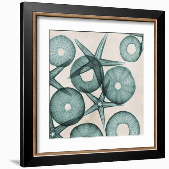 Under the Sea 3-Albert Koetsier-Framed Art Print