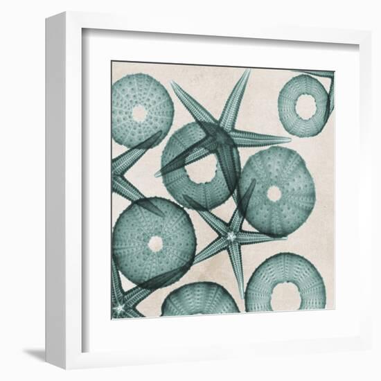 Under the Sea 3-Albert Koetsier-Framed Art Print