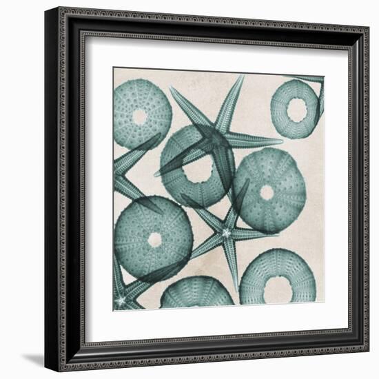 Under the Sea 3-Albert Koetsier-Framed Art Print