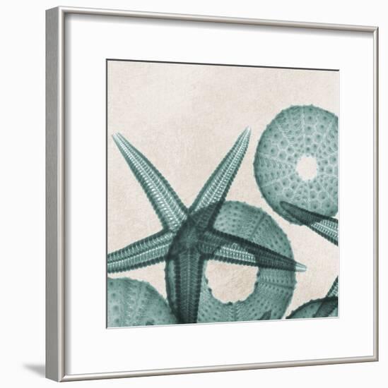 Under the Sea 5-Albert Koetsier-Framed Premium Giclee Print