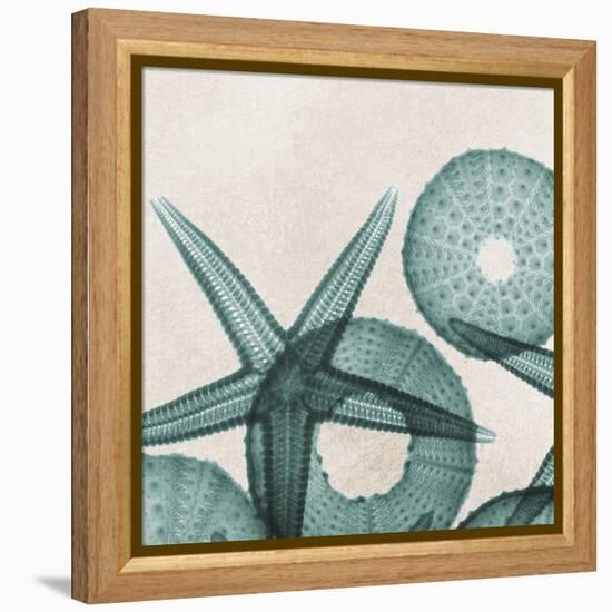 Under the Sea 5-Albert Koetsier-Framed Stretched Canvas