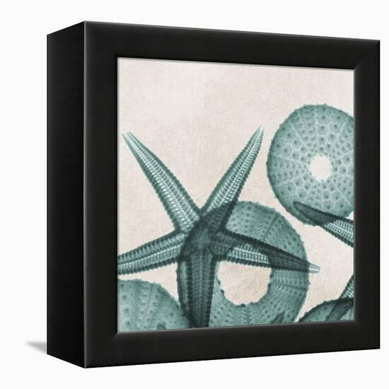 Under the Sea 5-Albert Koetsier-Framed Stretched Canvas