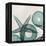 Under the Sea 5-Albert Koetsier-Framed Stretched Canvas