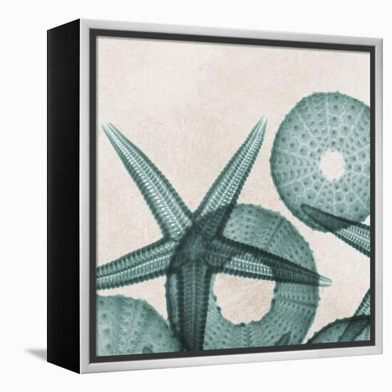 Under the Sea 5-Albert Koetsier-Framed Stretched Canvas