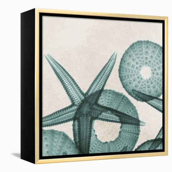 Under the Sea 5-Albert Koetsier-Framed Stretched Canvas