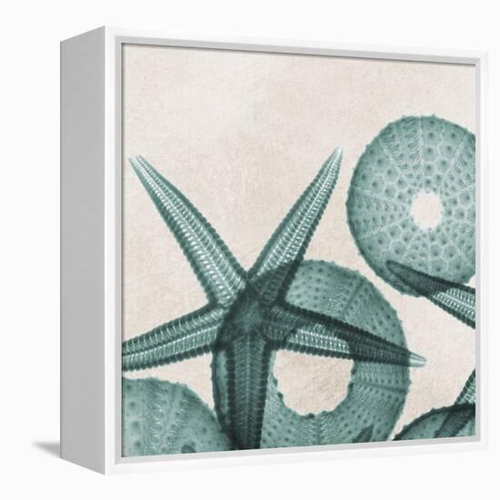 Under the Sea 5-Albert Koetsier-Framed Stretched Canvas