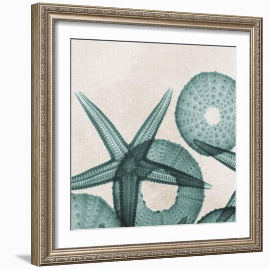 Under the Sea 5-Albert Koetsier-Framed Art Print