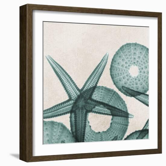 Under the Sea 5-Albert Koetsier-Framed Art Print