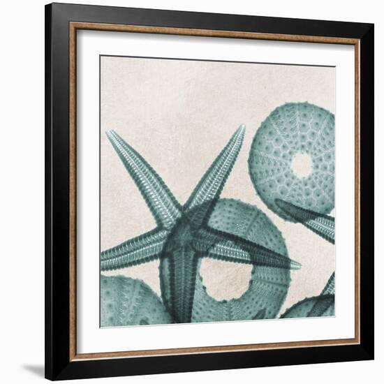 Under the Sea 5-Albert Koetsier-Framed Art Print