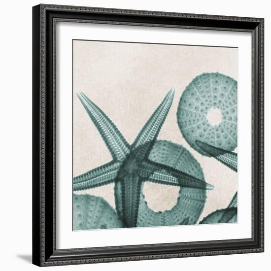 Under the Sea 5-Albert Koetsier-Framed Art Print