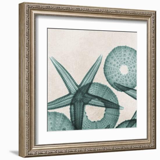 Under the Sea 5-Albert Koetsier-Framed Art Print