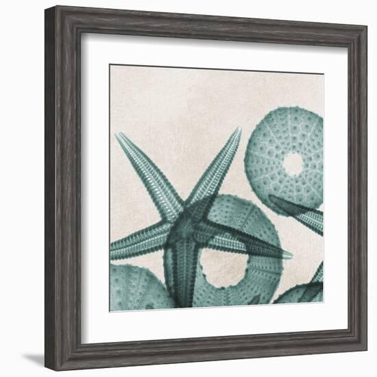 Under the Sea 5-Albert Koetsier-Framed Art Print