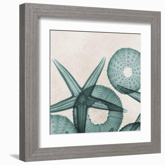 Under the Sea 5-Albert Koetsier-Framed Art Print