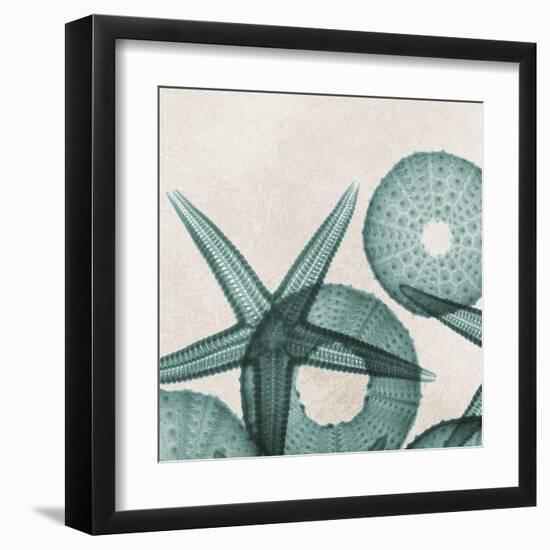 Under the Sea 5-Albert Koetsier-Framed Art Print