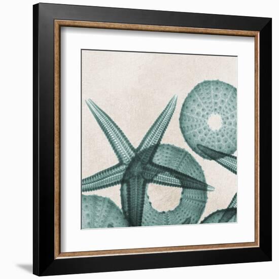 Under the Sea 5-Albert Koetsier-Framed Art Print