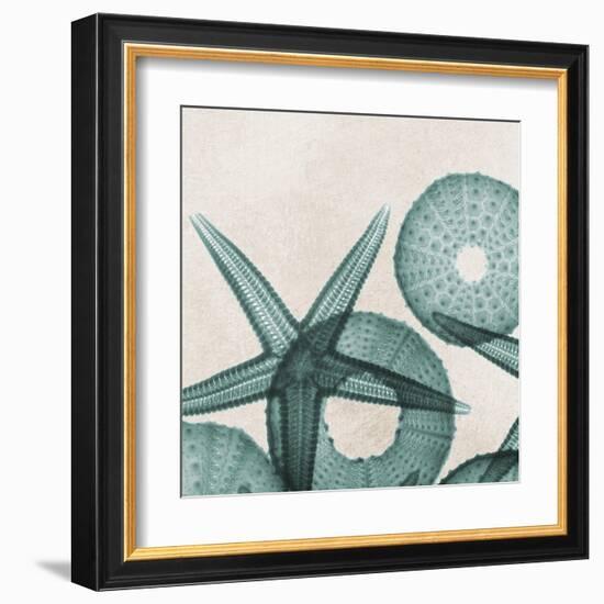 Under the Sea 5-Albert Koetsier-Framed Art Print