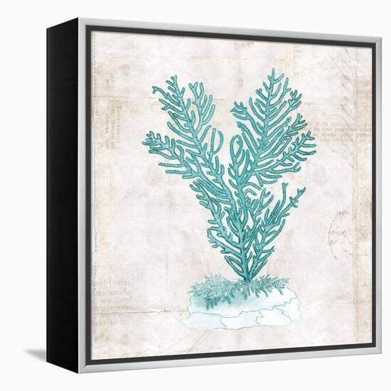 Under the Sea II-Sabine Berg-Framed Stretched Canvas