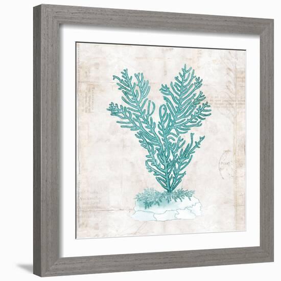 Under the Sea II-Sabine Berg-Framed Art Print