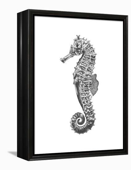 Under The Sea - Seahorse-Lucy Francis-Framed Stretched Canvas