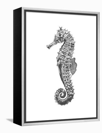 Under The Sea - Seahorse-Lucy Francis-Framed Stretched Canvas