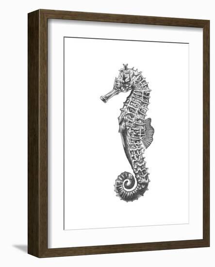 Under The Sea - Seahorse-Lucy Francis-Framed Art Print