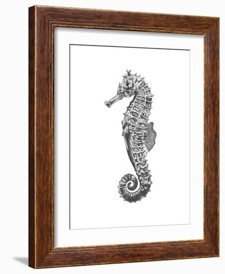 Under The Sea - Seahorse-Lucy Francis-Framed Art Print