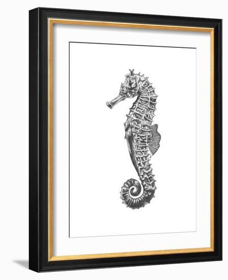 Under The Sea - Seahorse-Lucy Francis-Framed Art Print