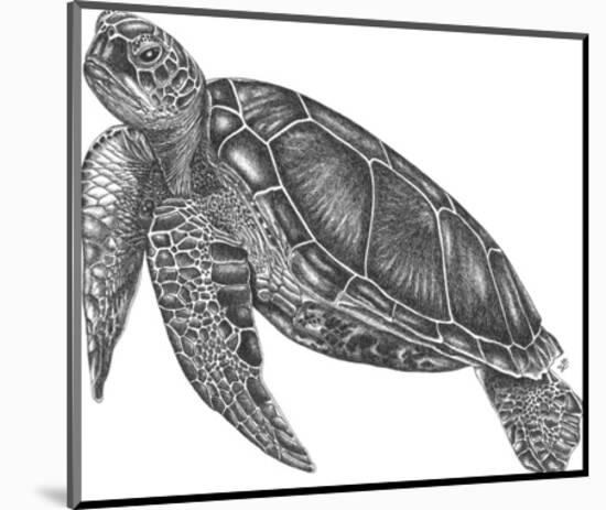 Under The Sea - Turtle-Lucy Francis-Mounted Giclee Print