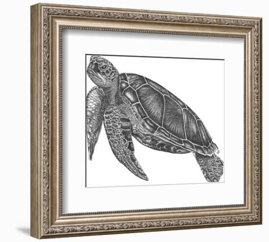 Under The Sea - Turtle-Lucy Francis-Framed Art Print