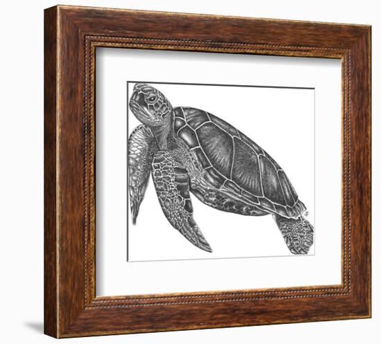 Under The Sea - Turtle-Lucy Francis-Framed Art Print