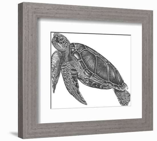 Under The Sea - Turtle-Lucy Francis-Framed Art Print