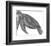 Under The Sea - Turtle-Lucy Francis-Framed Art Print