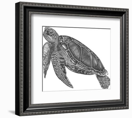 Under The Sea - Turtle-Lucy Francis-Framed Art Print