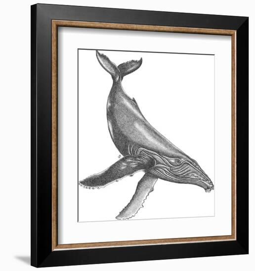 Under The Sea - Whale-Lucy Francis-Framed Art Print