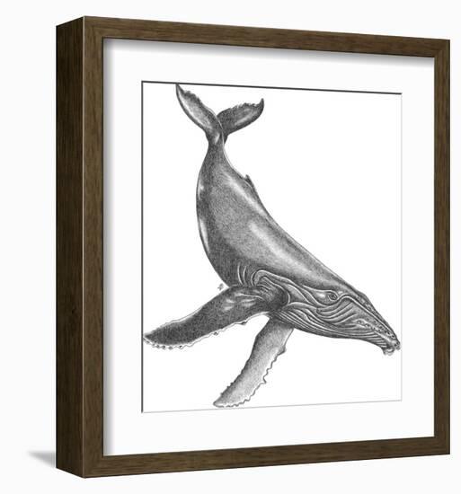 Under The Sea - Whale-Lucy Francis-Framed Art Print