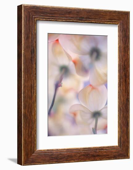 Under the skirts of flowers-Francois Casanova-Framed Photographic Print