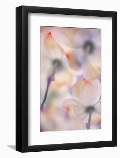 Under the skirts of flowers-Francois Casanova-Framed Photographic Print