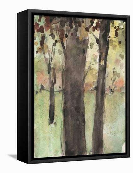 Under the Tree Confetti II-Samuel Dixon-Framed Stretched Canvas