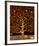 Under the Tree of Life-Gustav Klimt-Framed Premium Giclee Print