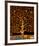 Under the Tree of Life-Gustav Klimt-Framed Premium Giclee Print