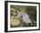 Under the Trees-Kuroda Seiki-Framed Giclee Print