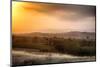 Under the Tuscan Sunset-George Oze-Mounted Photographic Print