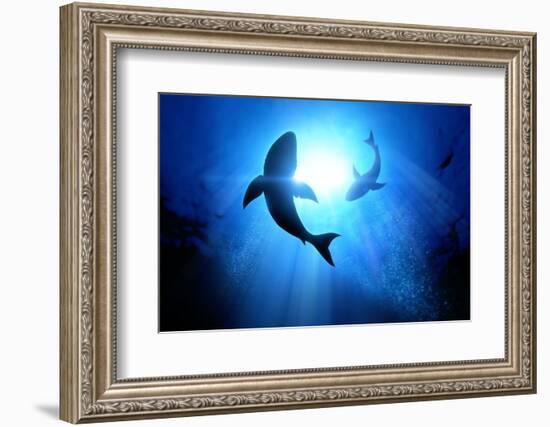 Under the Waves Circle Two Great White Sharks. Illustration-solarseven-Framed Photographic Print