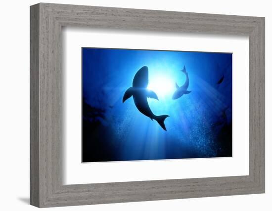 Under the Waves Circle Two Great White Sharks. Illustration-solarseven-Framed Photographic Print