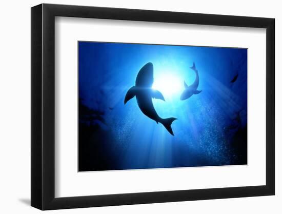 Under the Waves Circle Two Great White Sharks. Illustration-solarseven-Framed Photographic Print